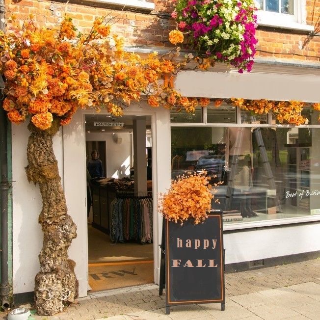 vitrine-automne-terrre-dhabitats-cornebarrieu